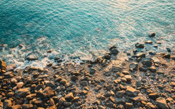 shore, beach, sea Wallpaper 2560x1600