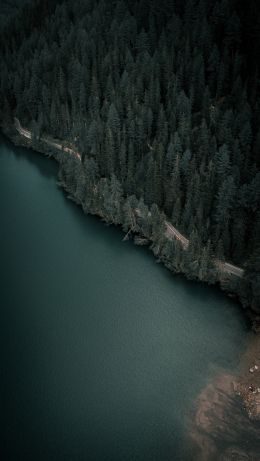 dark, green, bird's eye view Wallpaper 640x1136