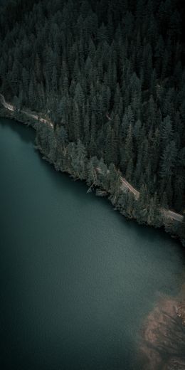 dark, green, bird's eye view Wallpaper 720x1440