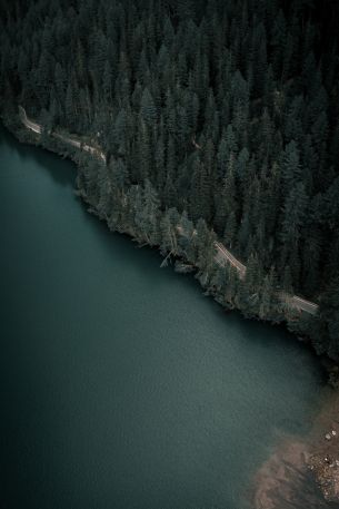 dark, green, bird's eye view Wallpaper 640x960