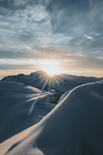sunrise, winter, snow Wallpaper 640x960
