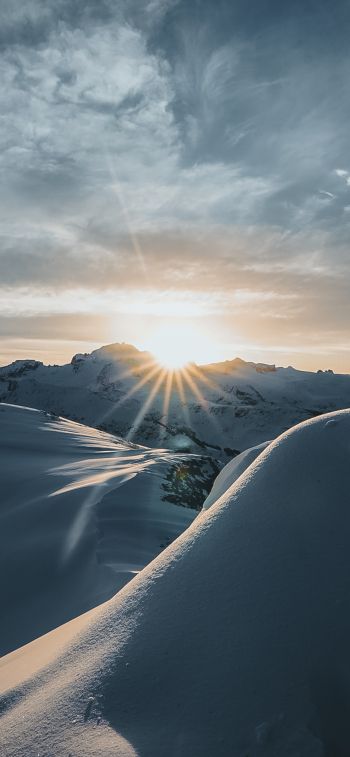 sunrise, winter, snow Wallpaper 1284x2778