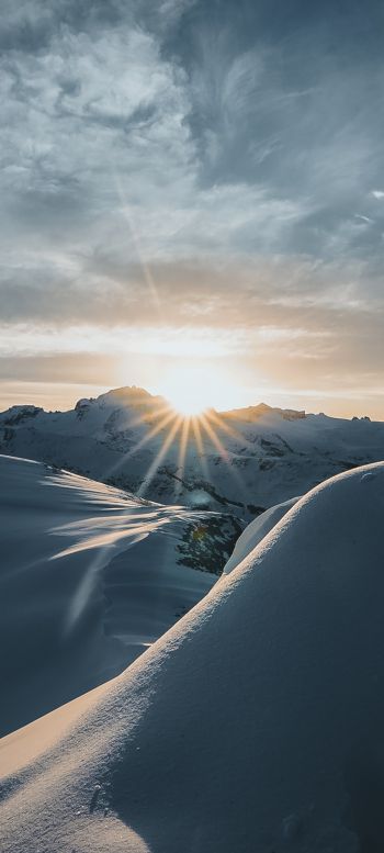 sunrise, winter, snow Wallpaper 1440x3200