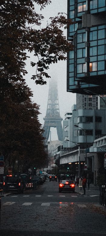 Paris, France, city Wallpaper 1440x3200