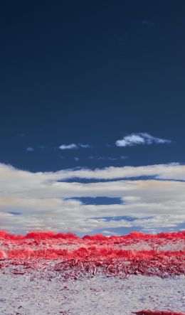 clouds, sky, landscape Wallpaper 600x1024