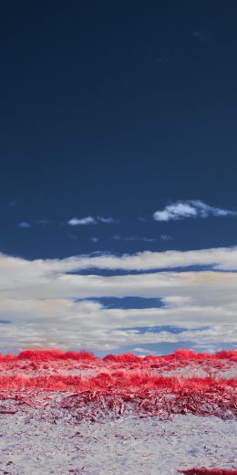 clouds, sky, landscape Wallpaper 720x1440