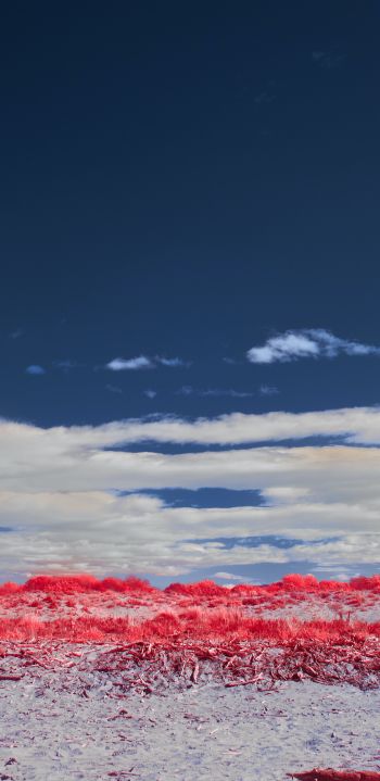 Обои 1440x2960 облака, небо, пейзаж