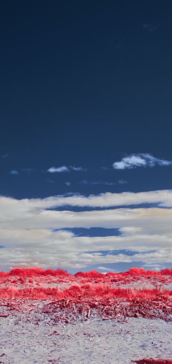 Обои 720x1520 облака, небо, пейзаж