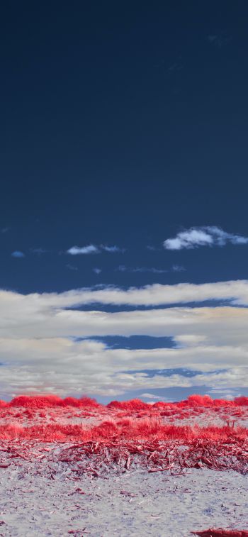 clouds, sky, landscape Wallpaper 1125x2436