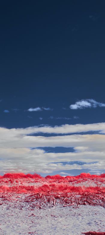 clouds, sky, landscape Wallpaper 1440x3200