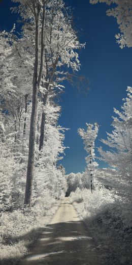 snow, winter, white Wallpaper 720x1440