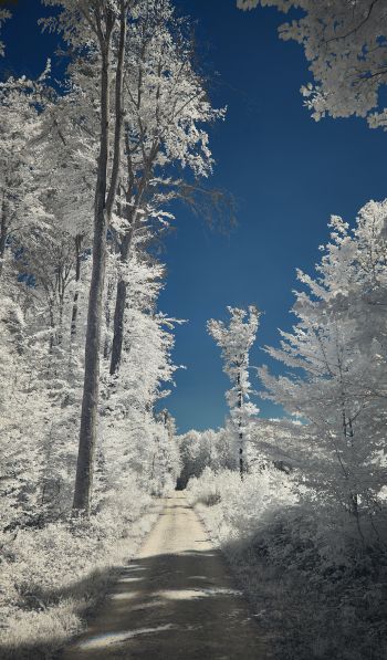 snow, winter, white Wallpaper 600x1024