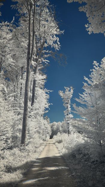 Обои 640x1136 снег, зима, белый