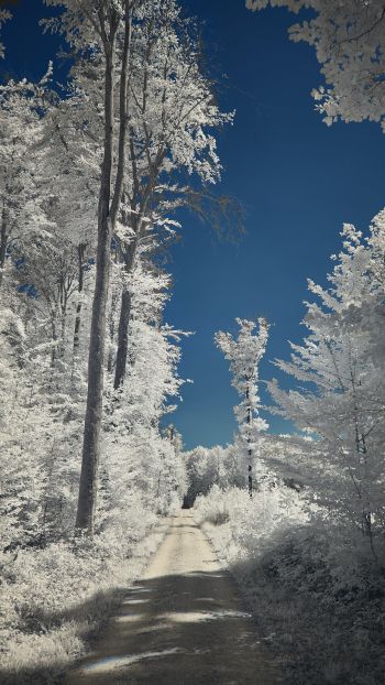Обои 1080x1920 снег, зима, белый
