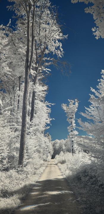Обои 1080x2220 снег, зима, белый