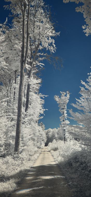 snow, winter, white Wallpaper 1080x2340