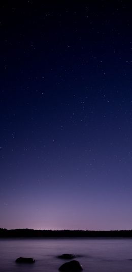 starry sky, night, purple Wallpaper 1080x2220