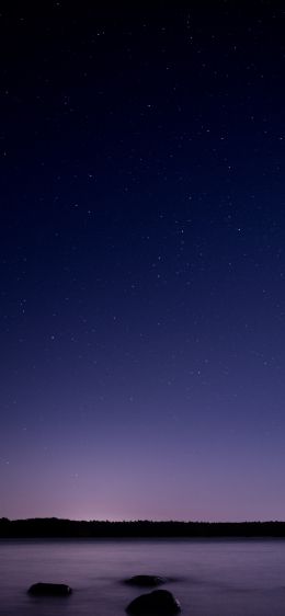 Обои 828x1792 звездное небо, ночь, фиолетовый
