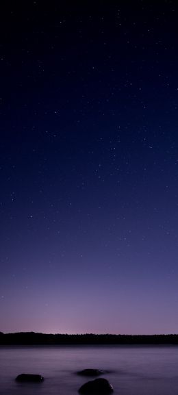 starry sky, night, purple Wallpaper 1080x2400