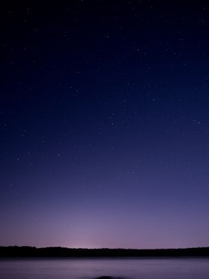 starry sky, night, purple Wallpaper 2048x2732