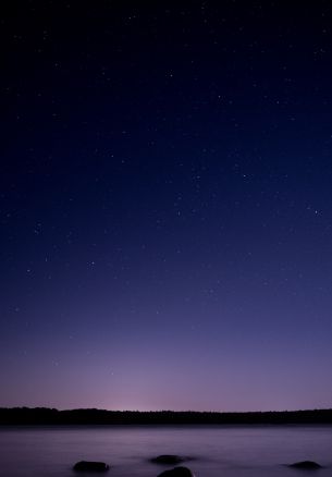 Обои 1640x2360 звездное небо, ночь, фиолетовый