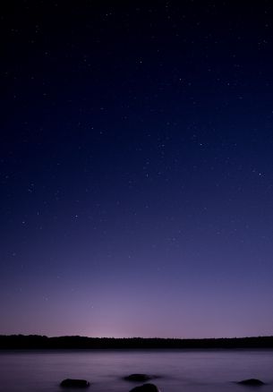 starry sky, night, purple Wallpaper 1640x2360