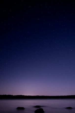 Обои 640x960 звездное небо, ночь, фиолетовый