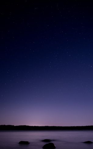 starry sky, night, purple Wallpaper 1600x2560