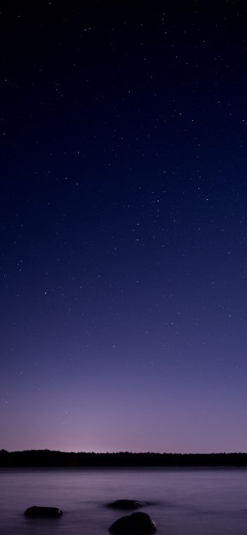 Обои 1242x2688 звездное небо, ночь, фиолетовый