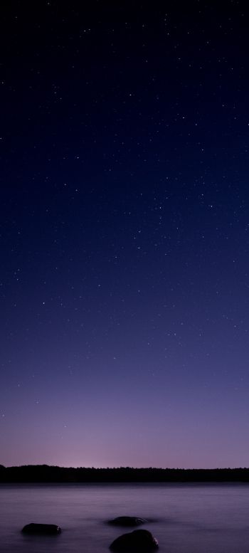 Обои 1440x3200 звездное небо, ночь, фиолетовый