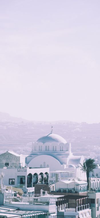 mosque, dome, white Wallpaper 1284x2778