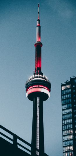 Tokyo Tower, Japan, Tokyo Wallpaper 1080x2220