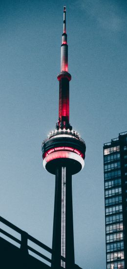 Tokyo Tower, Japan, Tokyo Wallpaper 1080x2280