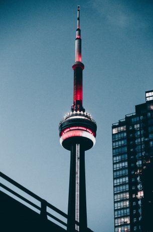 Tokyo Tower, Japan, Tokyo Wallpaper 3636x5486