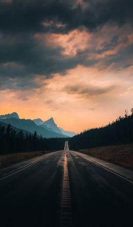 road, asphalt, evening Wallpaper 600x1024