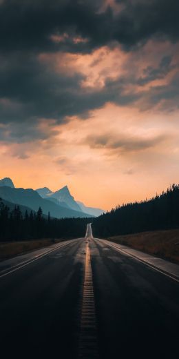 road, asphalt, evening Wallpaper 720x1440