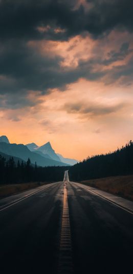 road, asphalt, evening Wallpaper 1440x2960