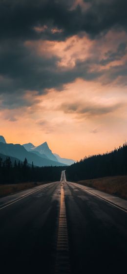 road, asphalt, evening Wallpaper 1170x2532