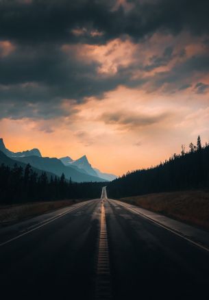 road, asphalt, evening Wallpaper 1640x2360