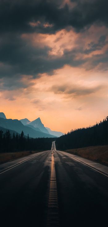 road, asphalt, evening Wallpaper 1080x2280