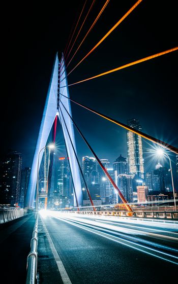 bridge, road, night city Wallpaper 800x1280