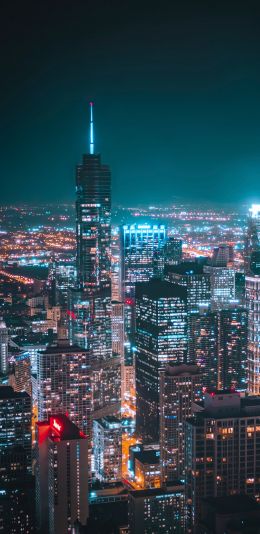 Chicago, USA, night city Wallpaper 1440x2960