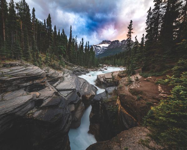 landscape, river, forest Wallpaper 1280x1024