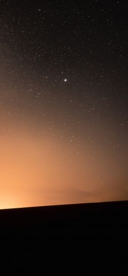 starry sky, horizon, night Wallpaper 828x1792