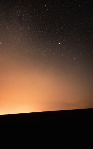 Обои 1600x2560 звездное небо, горизонт, ночь