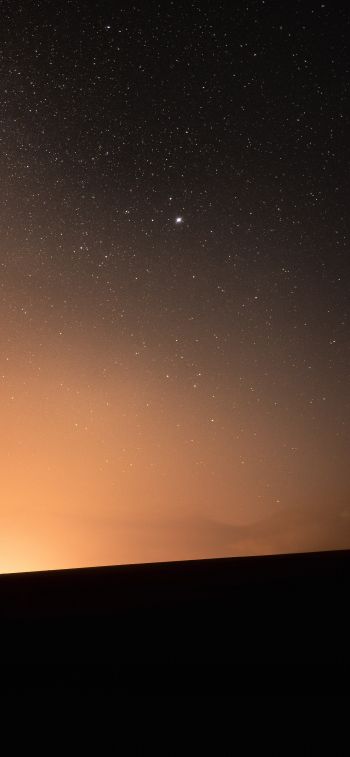 Обои 828x1792 звездное небо, горизонт, ночь