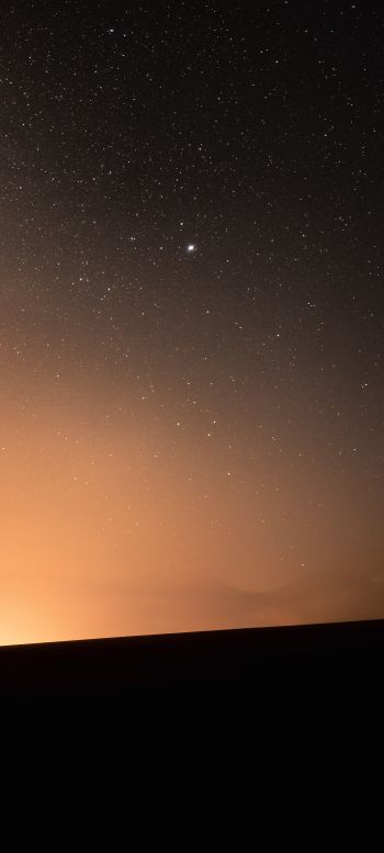 Обои 1440x3200 звездное небо, горизонт, ночь