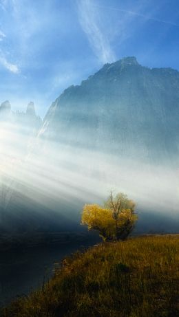 sunlight, landscape Wallpaper 640x1136