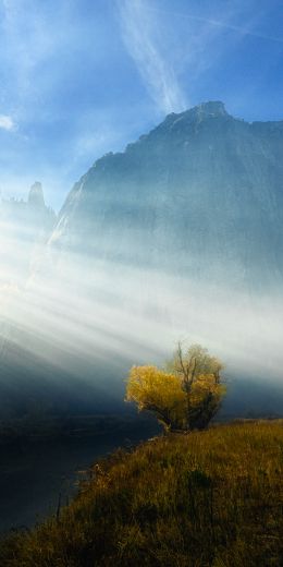 sunlight, landscape Wallpaper 720x1440