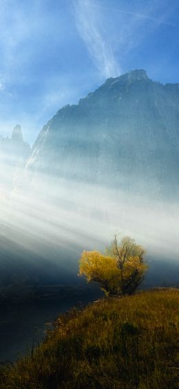 sunlight, landscape Wallpaper 1080x2340